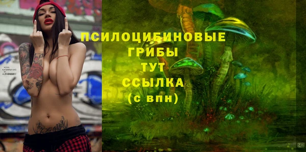 MDMA Богородицк