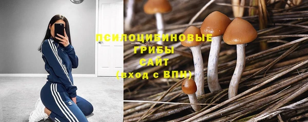амф Богданович