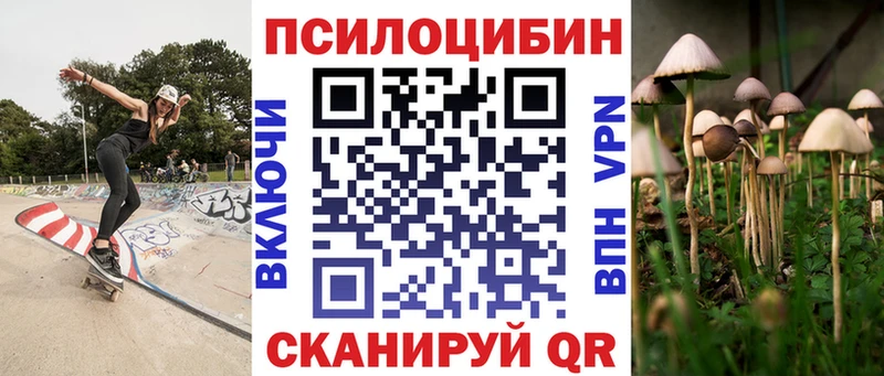 закладки  Дюртюли  Галлюциногенные грибы мицелий 